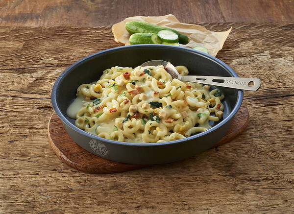 TnE Romige Pasta met kip en spinazie